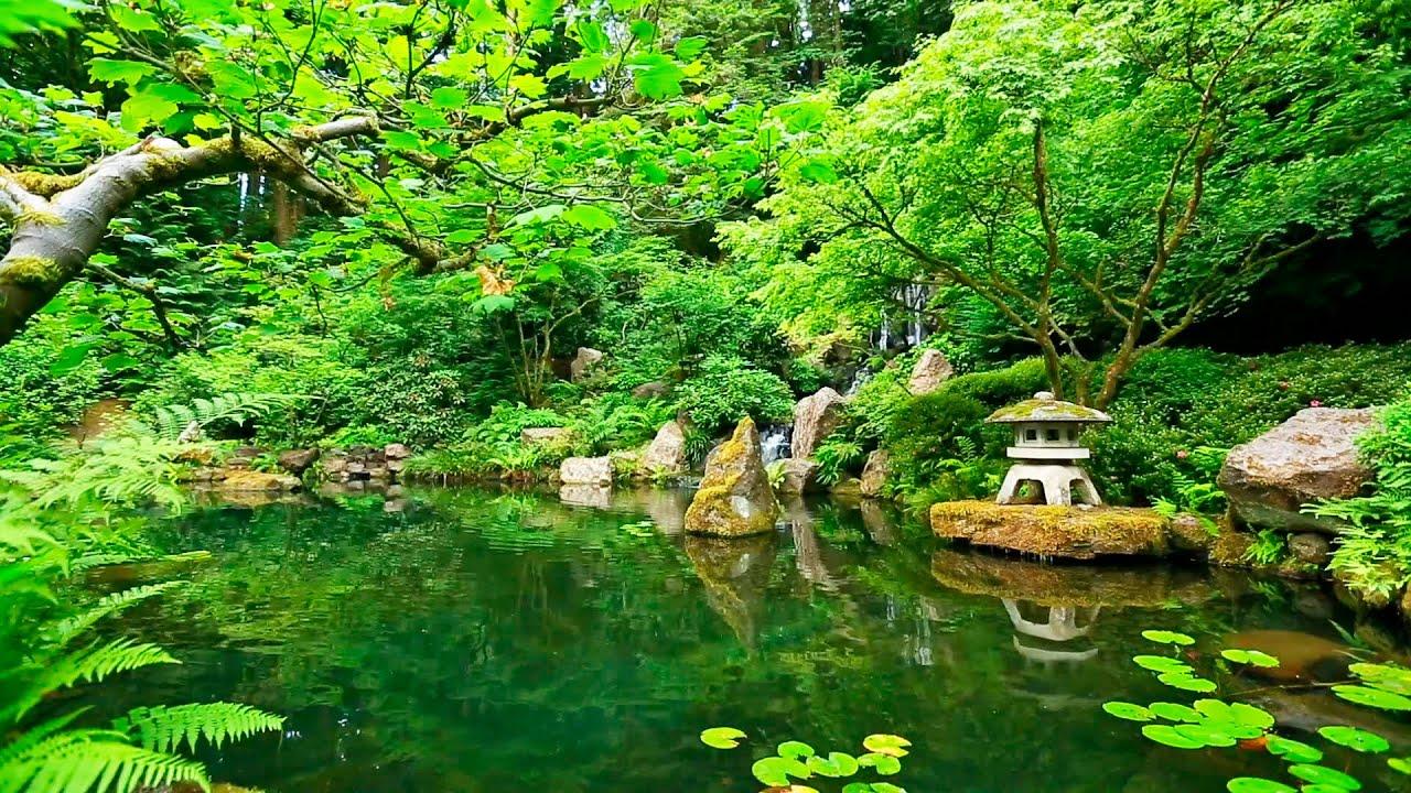 The gentle rustling of leaves creates a natural symphony in the Zen Garden