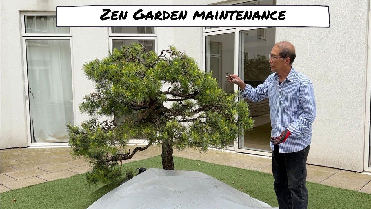 Ensure regular upkeep for a pristine space that nurtures peace in your Zen Garden