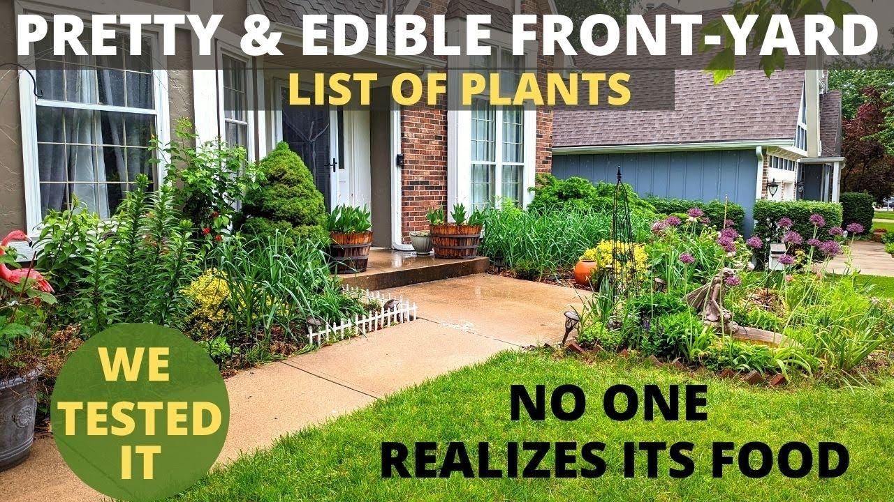 Incorporate edible plants in ​your Front Yard Landscaping ⁣for beauty and practical benefits