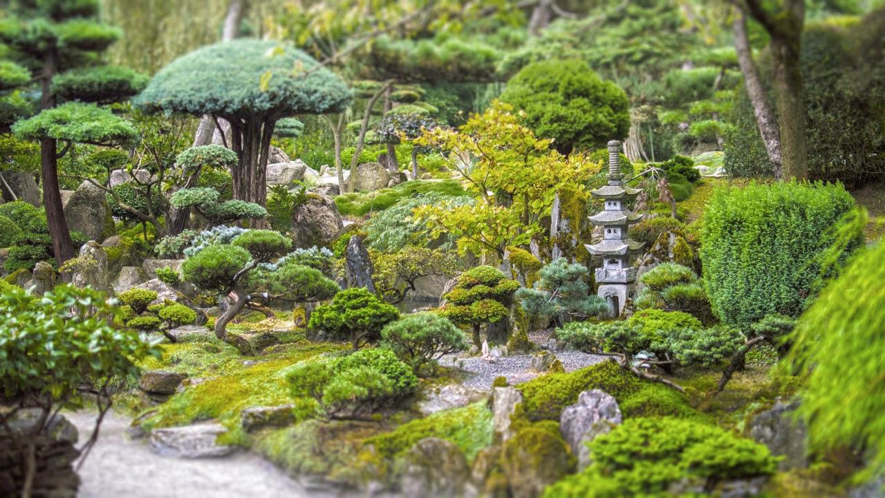 Soft,‍ ambient sounds from nature enhance ‍the tranquillity of your Zen Garden