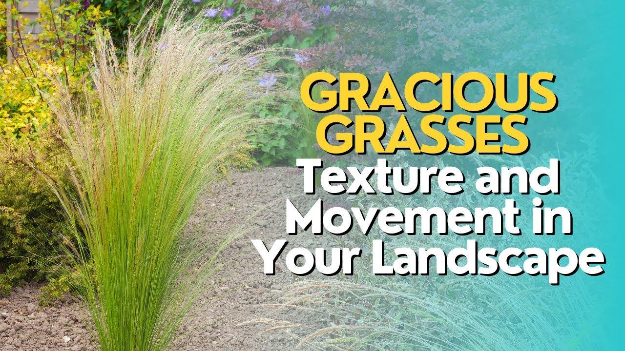 Use ornamental grasses to introduce texture and⁣ movement in ​your front⁣ yard landscaping