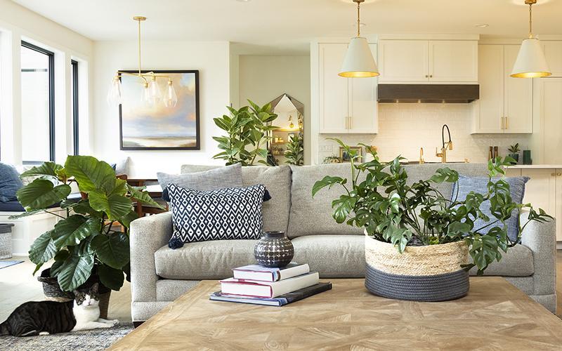 Indoor plants bring ‌life and freshness to your Living Room⁣ space