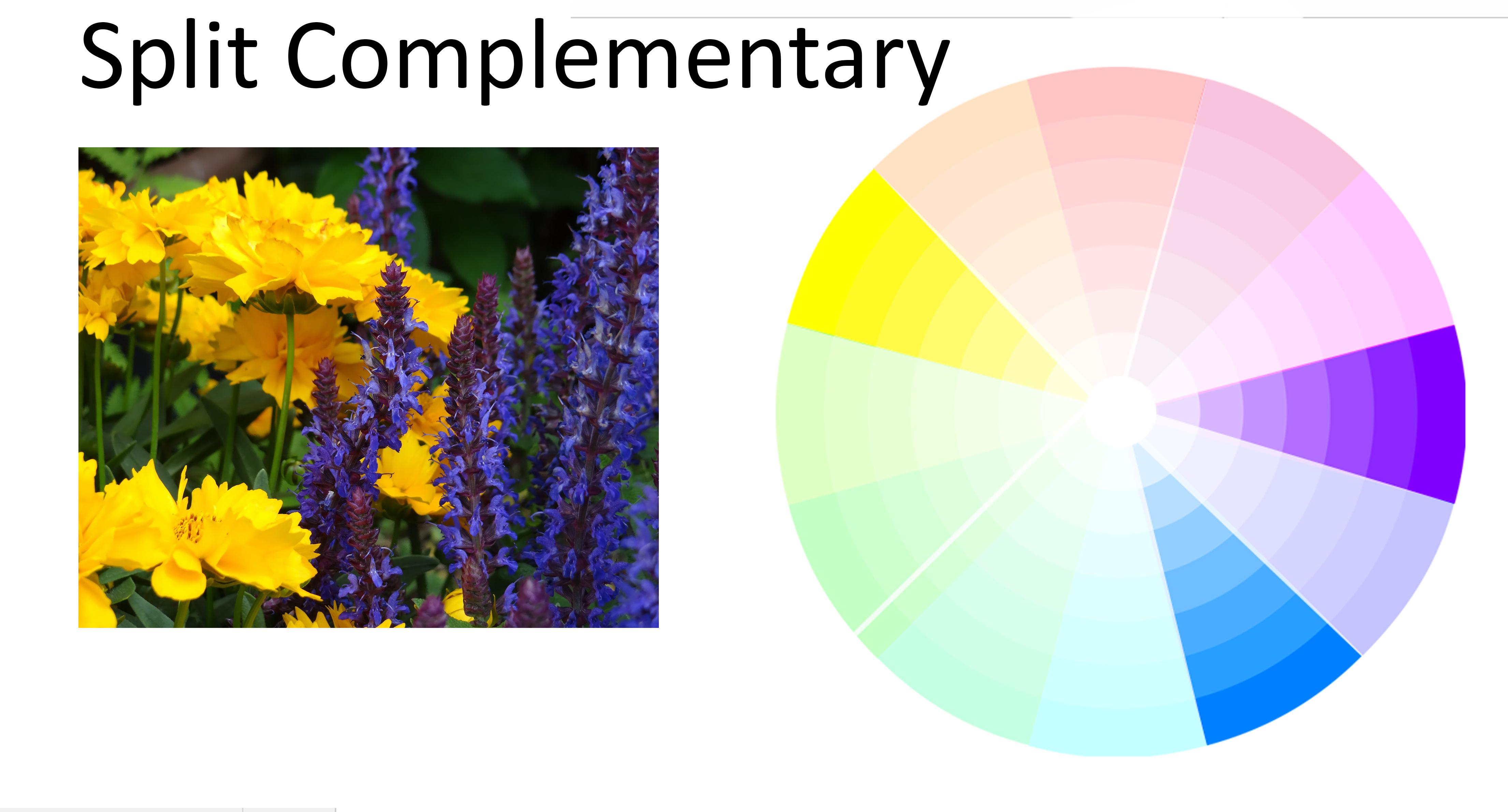 Utilize color theory ⁣to harmonize flowers in your front yard ⁣landscaping