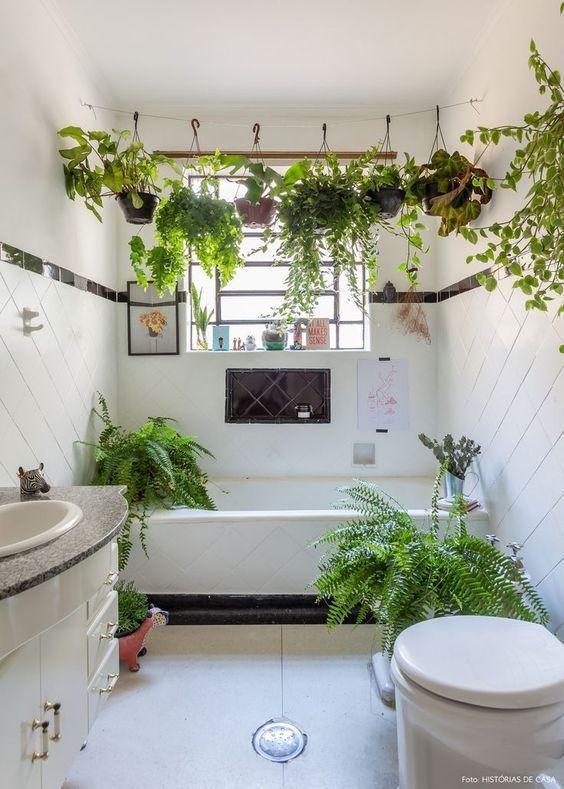 Indoor⁣ plants​ introduce ‌freshness and tranquility to bathrooms