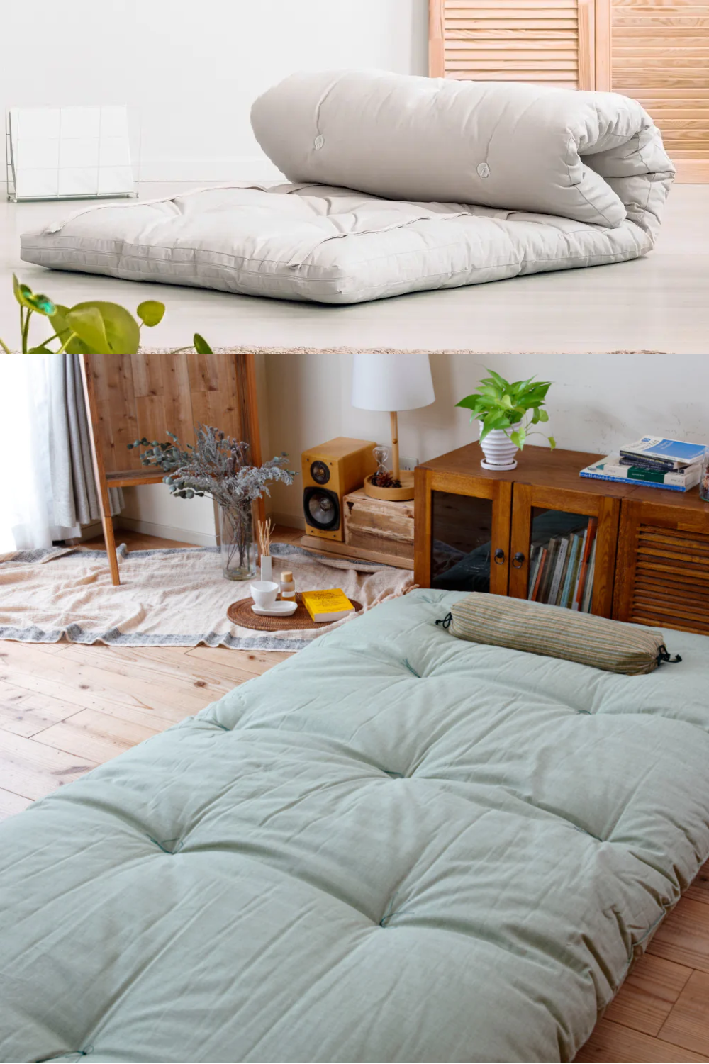 Few common info on futon mattresses