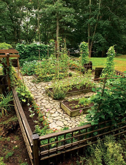 Unique and best gardening ideas