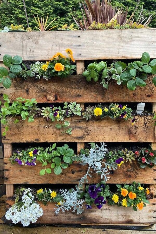 Enhance your entrance with a welcoming flower-laden Pallet Garden