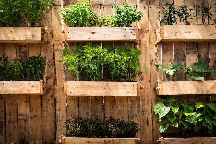 Vertical pallet⁤ garden hanging against⁢ a sunny wall ‌for maximum sunlight