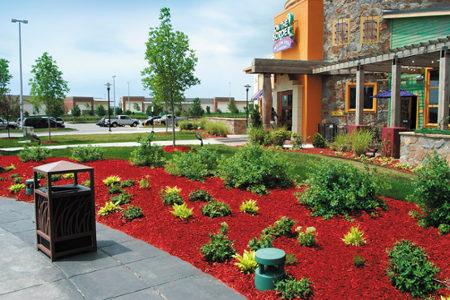 Utilize colorful mulch⁤ to enhance⁤ visual interest in your ⁤front yard landscaping