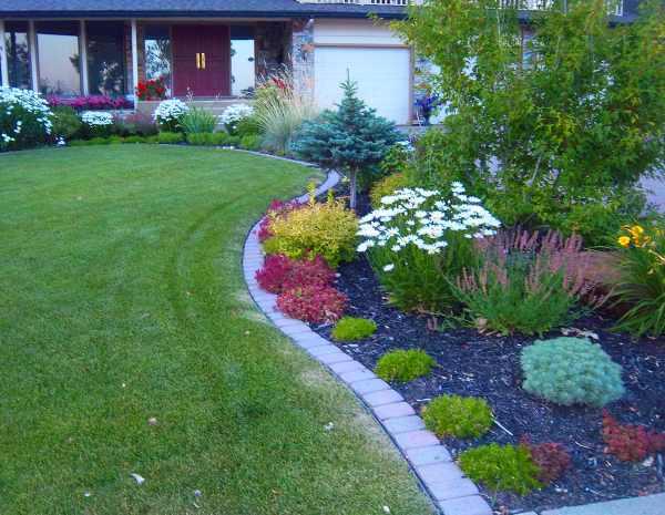 Define borders​ with⁢ brick or wood edging​ in your ⁣front yard landscaping setup