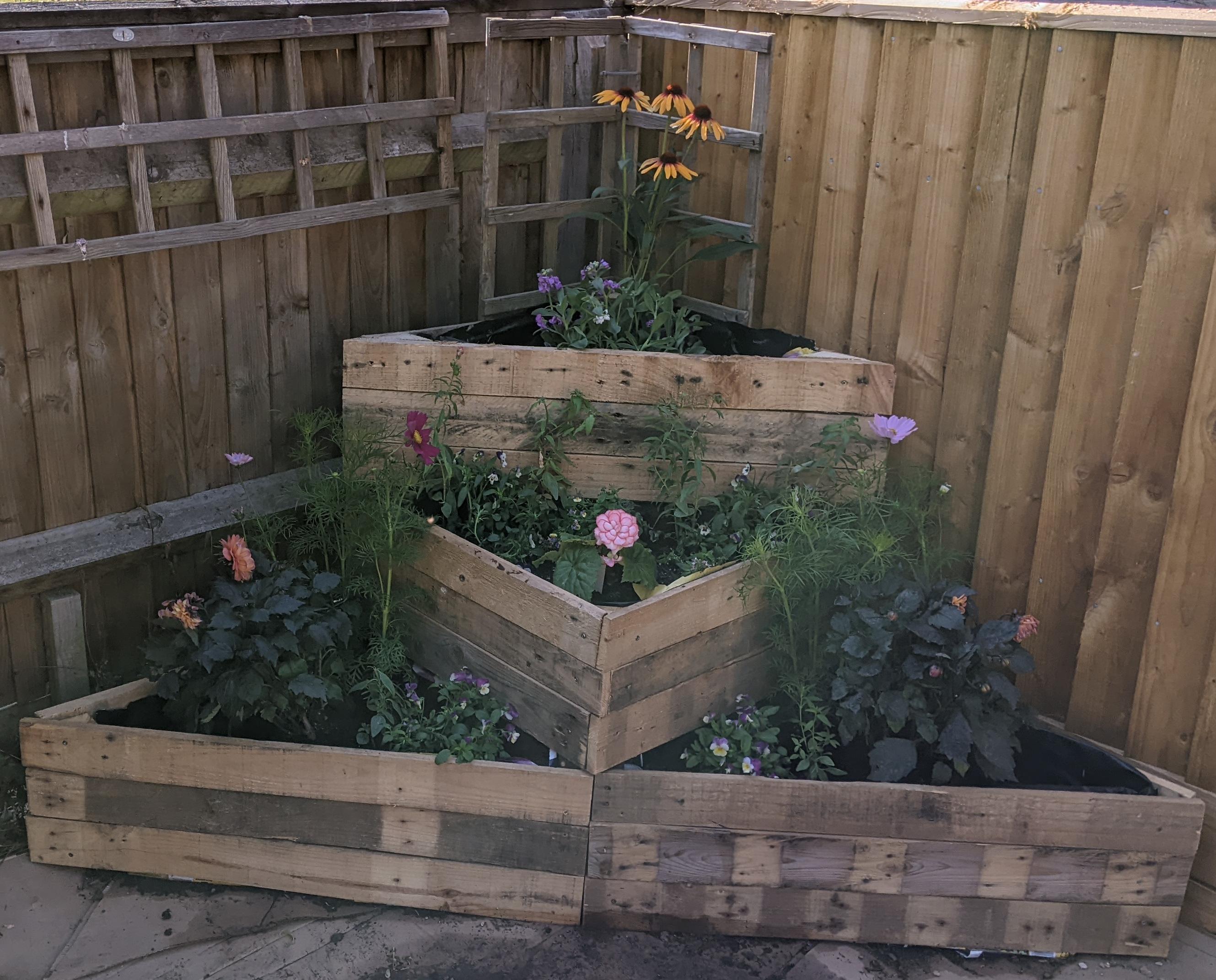 Maximize your garden’s potential with multi-tiered pallet garden arrangements for diverse plants