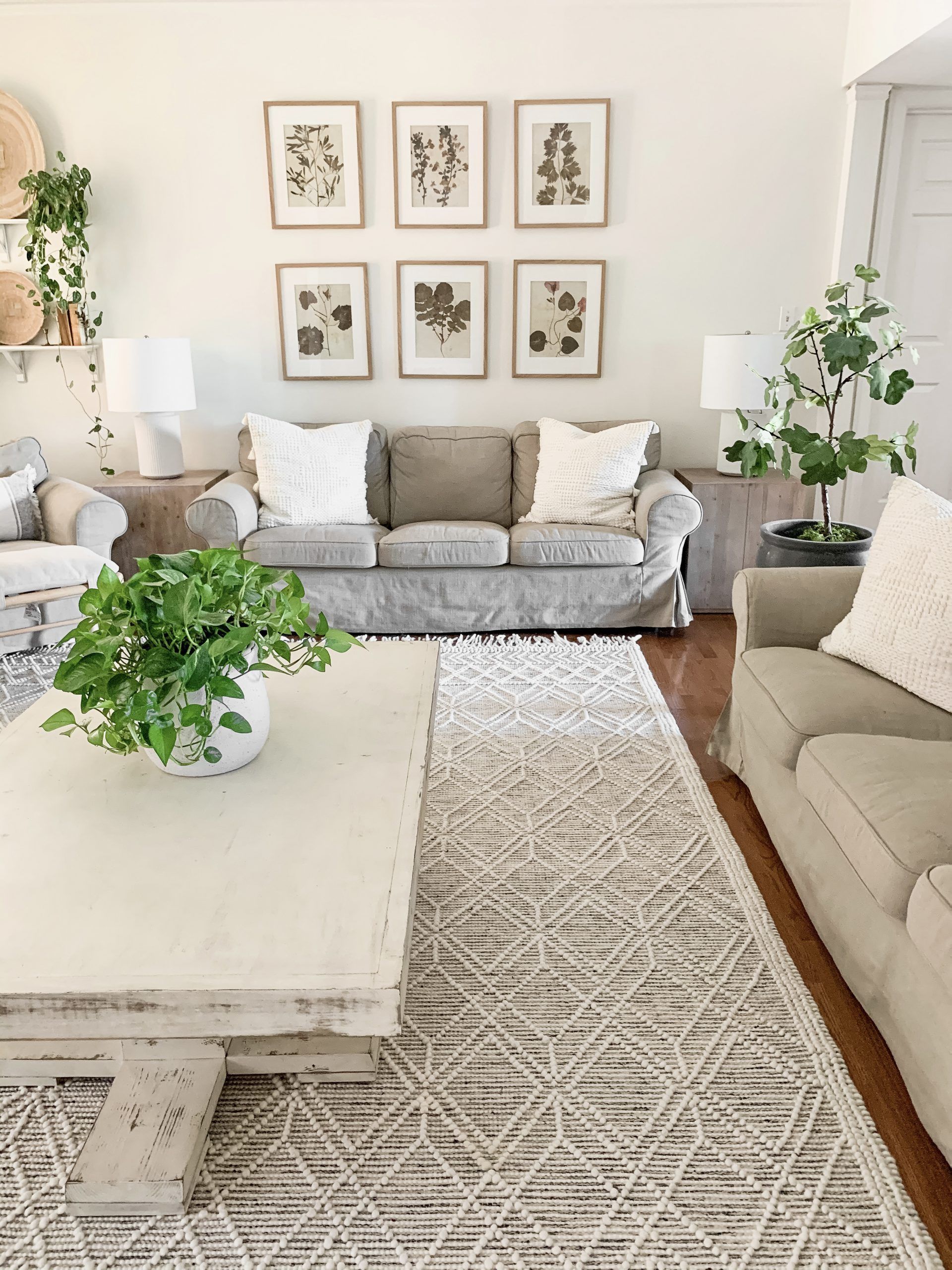 Enhance the look of your room beautiful
  living room rugs