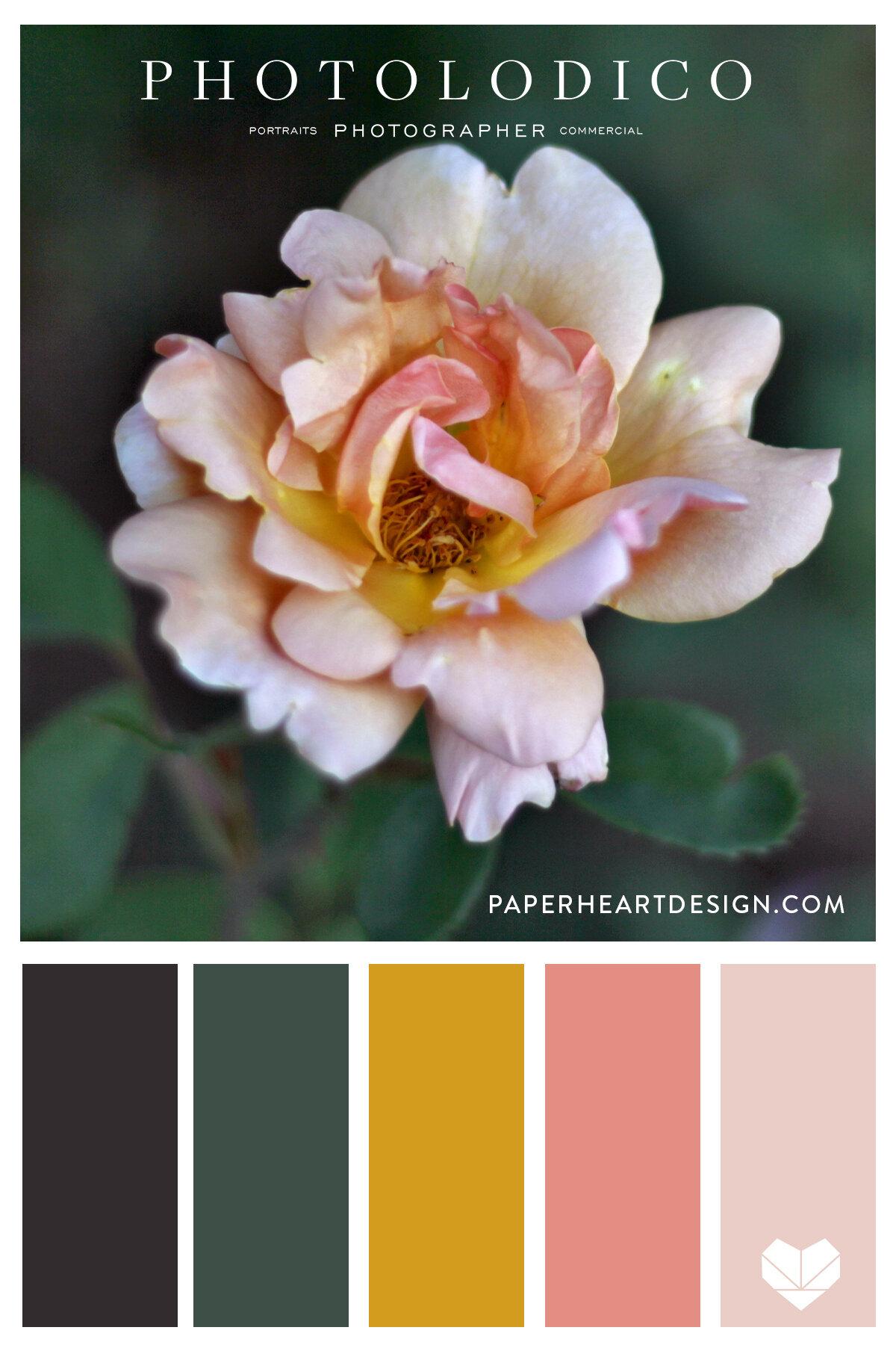 Paint⁤ your pallet garden to match your ‍home’s style​ for a cohesive look