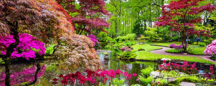 The fragrance of blooming flowers in a Zen Garden awakens the senses and calms