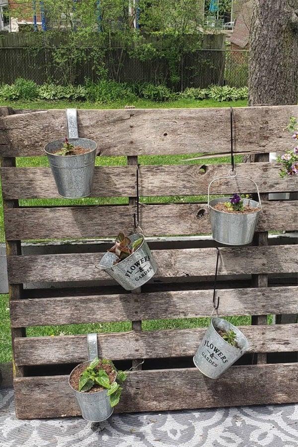 Use a Pallet Garden as a beautiful backdrop for outdoor gatherings