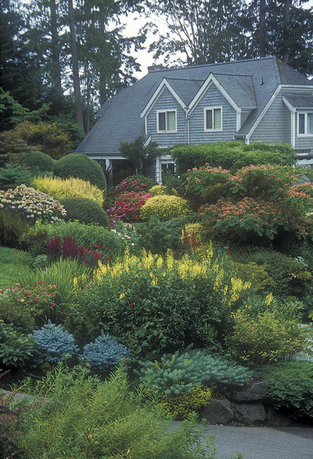 Utilize seasonal plants⁤ for a dynamically changing front yard‌ landscaping aesthetic