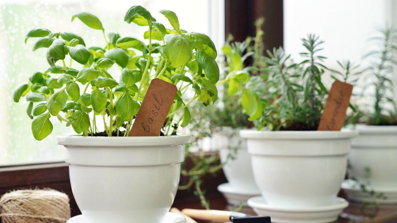 Integrate greenery through potted herbs or plants for ​a refreshing touch