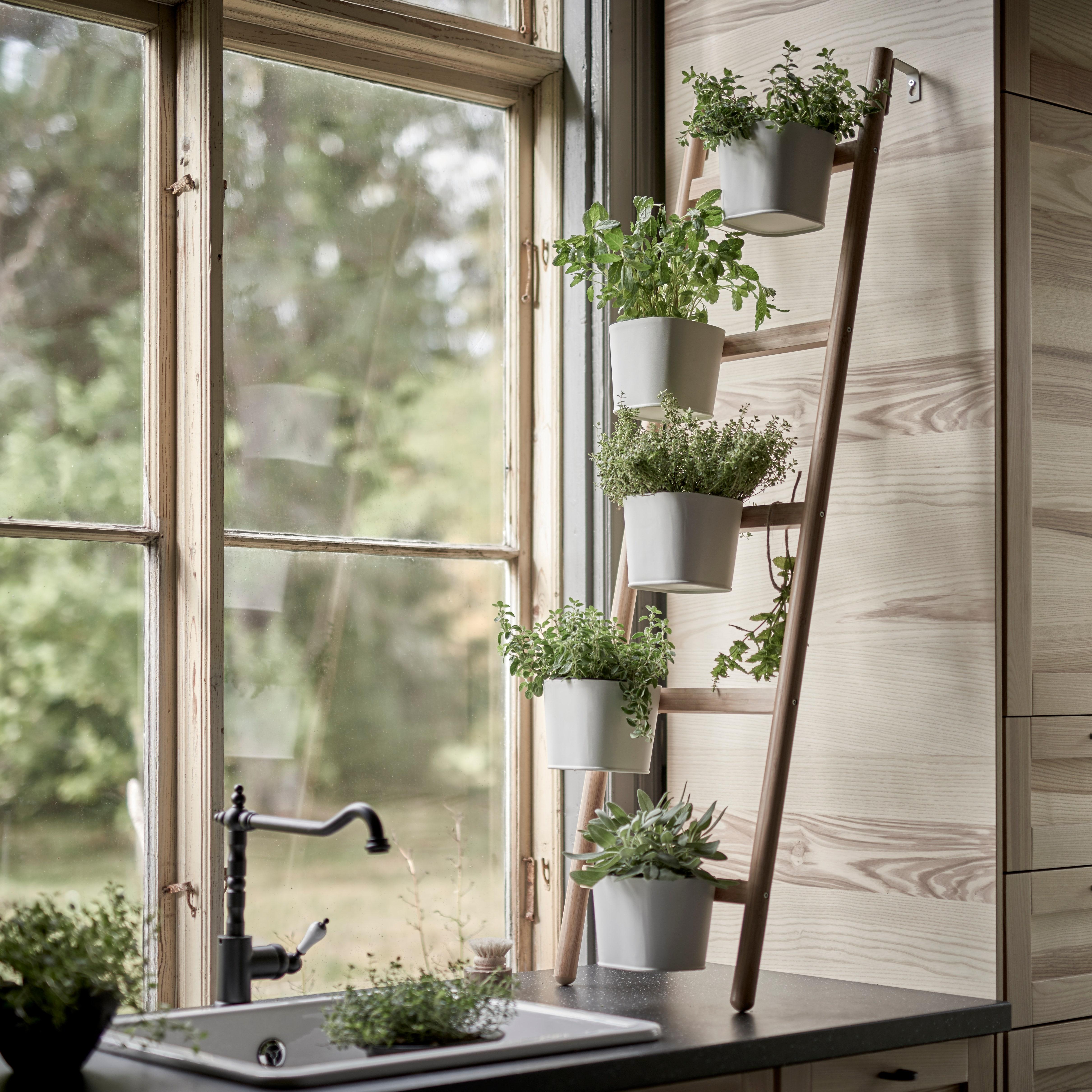 Indoor ⁤herb gardens allow ‍fresh‍ flavors ⁣at your ​fingertips in the kitchen