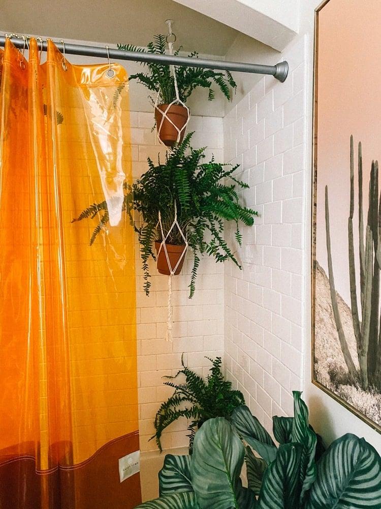 Indoor plants provide freshness and tranquility in⁤ your bathroom