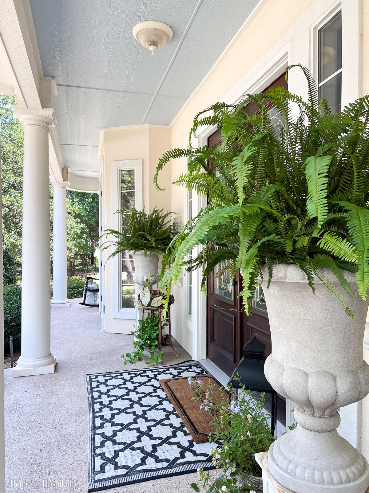 Incorporate plants to enhance aesthetics‌ and ⁤purify⁢ the air in your screened ‍porch