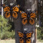 Large Outdoor Butterflies | Large Handmade Wood Outdoor Butterfly .