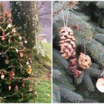 Decorate an Outdoor Christmas Tree With Edible Ornaments for the .