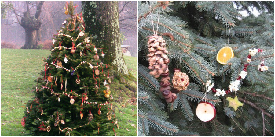 Decorate an Outdoor Christmas Tree With Edible Ornaments for the .