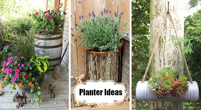 Planter Ideas: 18 Inspiring Design Tips for Gorgeous Garden Containe