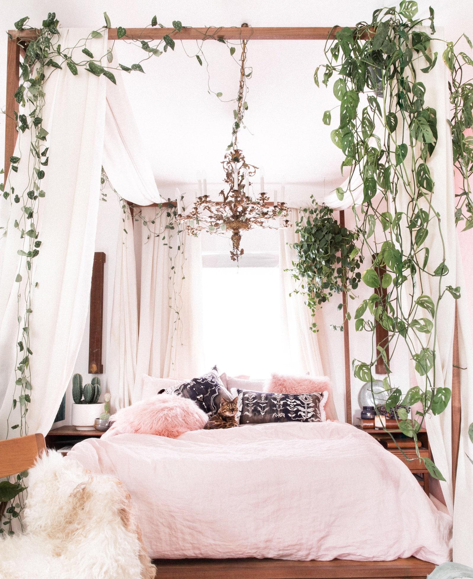 Bedroom Trend: Canopy ​beds reintroduce ‍a sense of luxury ⁤and⁢ comfort