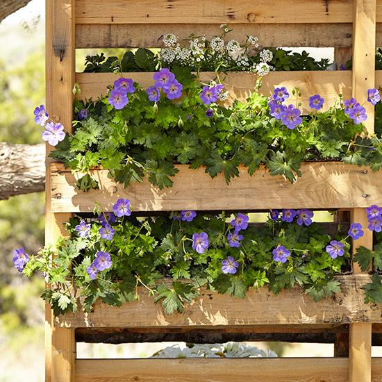 Transform your balcony with a vertical pallet garden bursting with colorful blooms