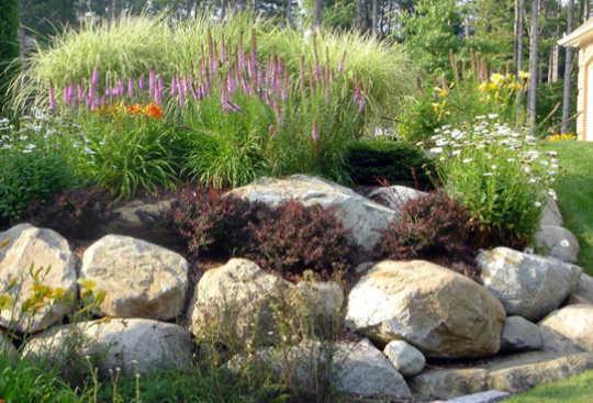 Add decorative boulders for a natural touch in ⁢your front ‍yard⁢ landscaping plan