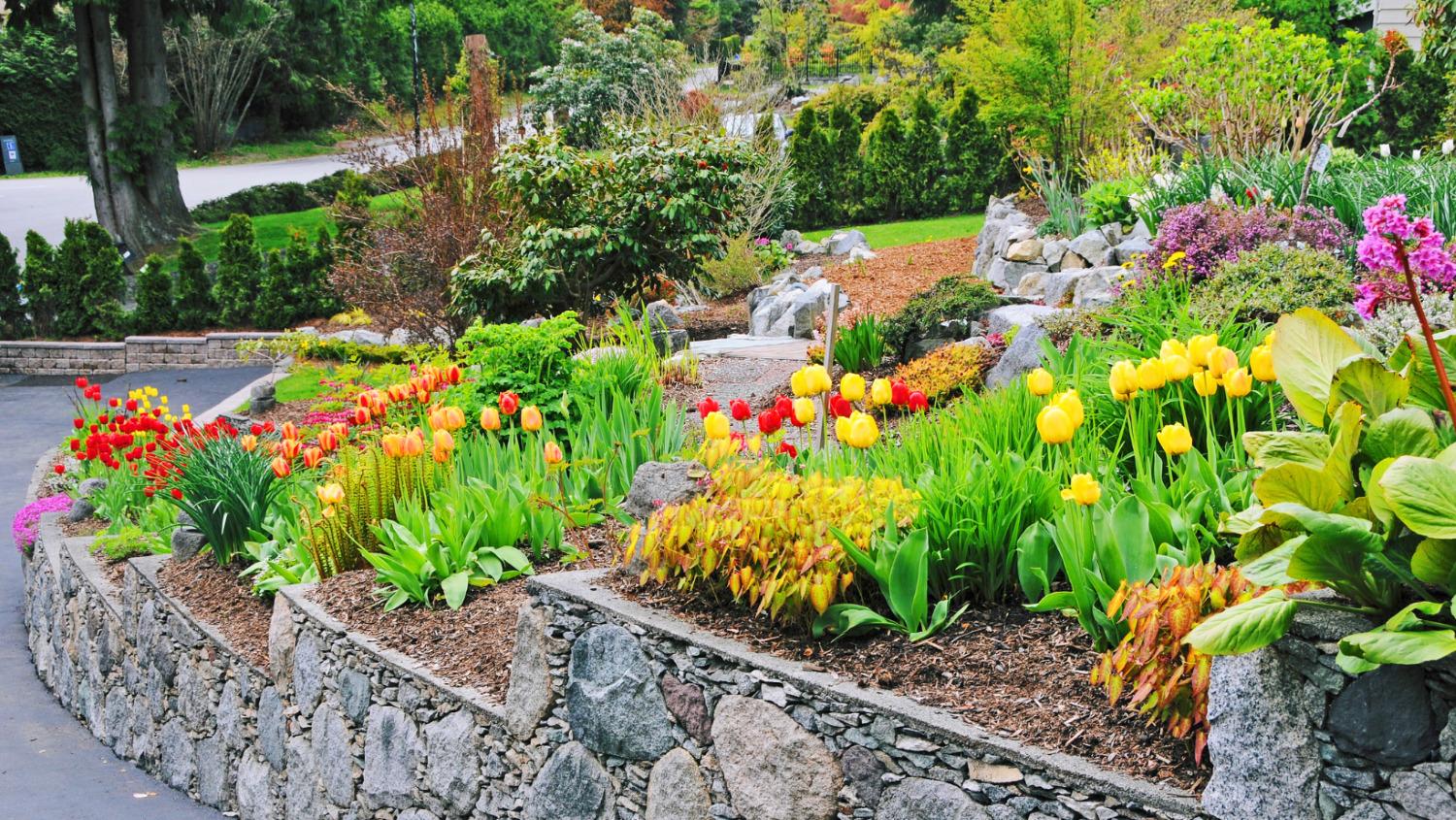 Create a vibrant flower bed as a focal point ⁤in⁣ your front ⁢yard landscaping