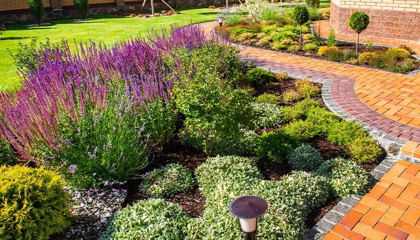 Create a butterfly garden to attract pollinators in front⁤ yard landscaping