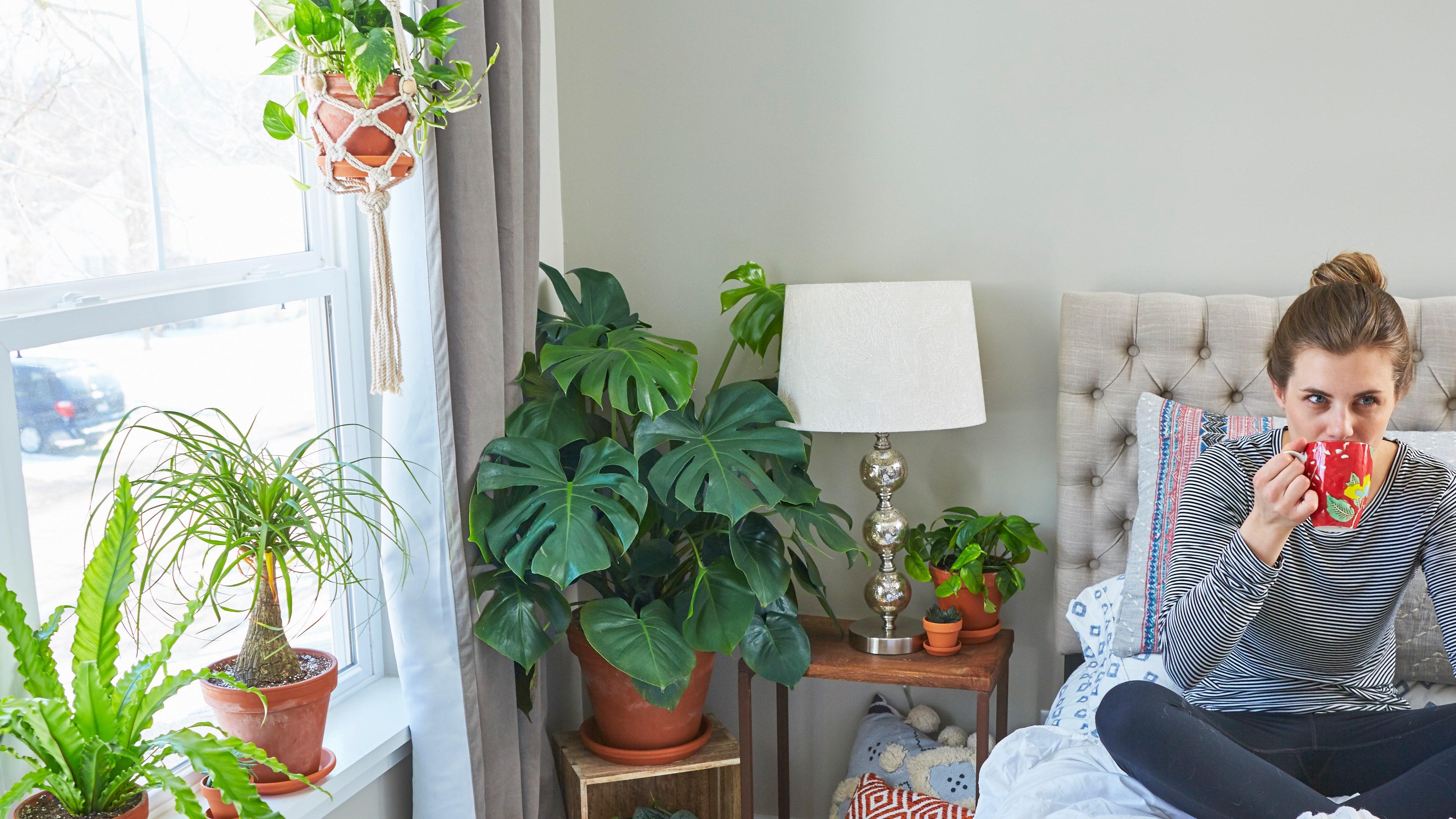 Add plants: Bring life and color⁤ to ​your teen⁢ girl bedroom ​with beautiful⁤ greenery