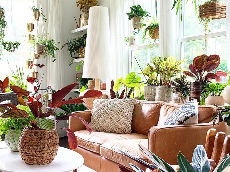 Include freestanding plants for a vibrant look in your Boho Living Room