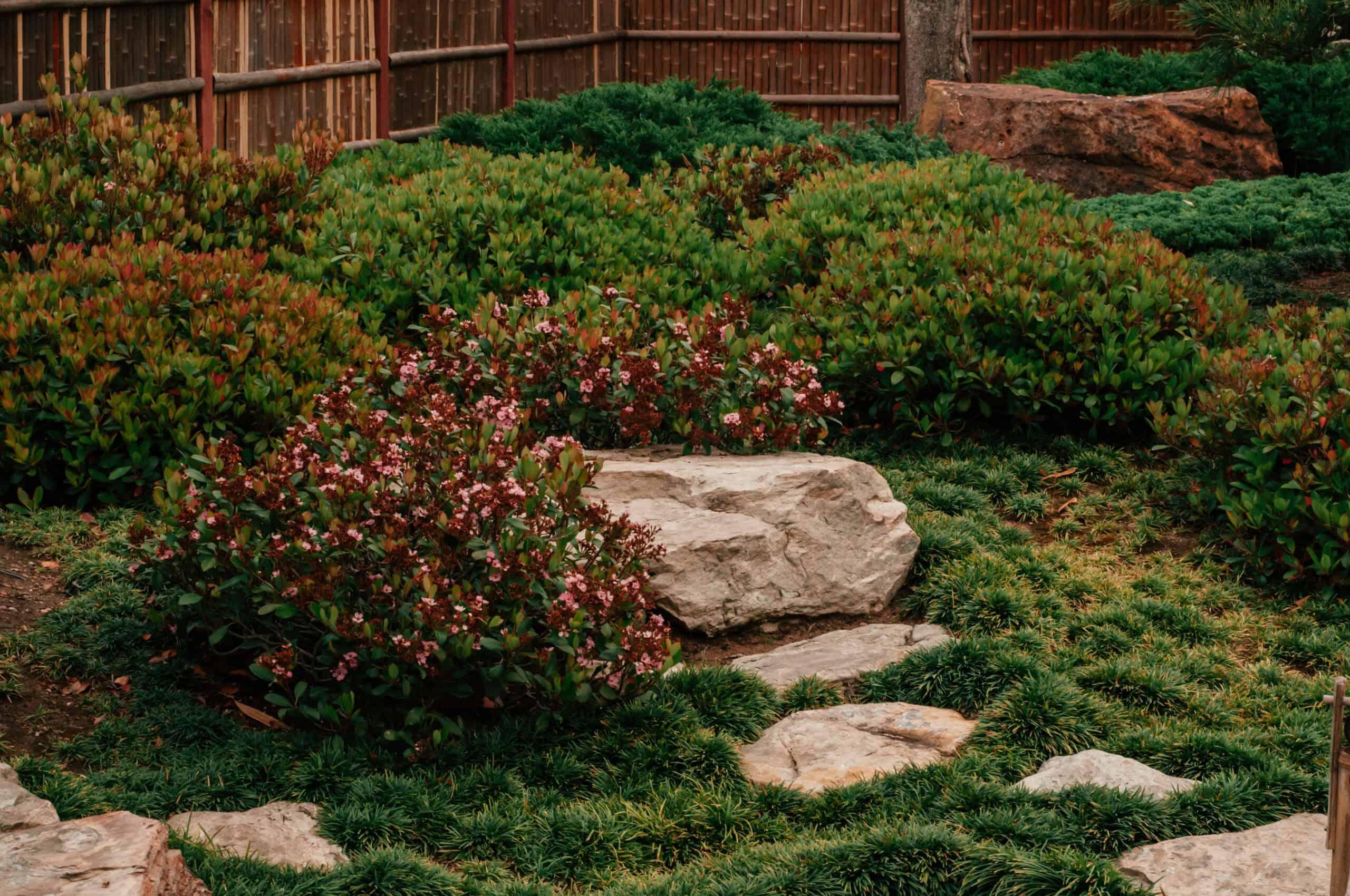 Plant fragrant ‌herbs ‌around the edges of your Zen Garden for sensory delight