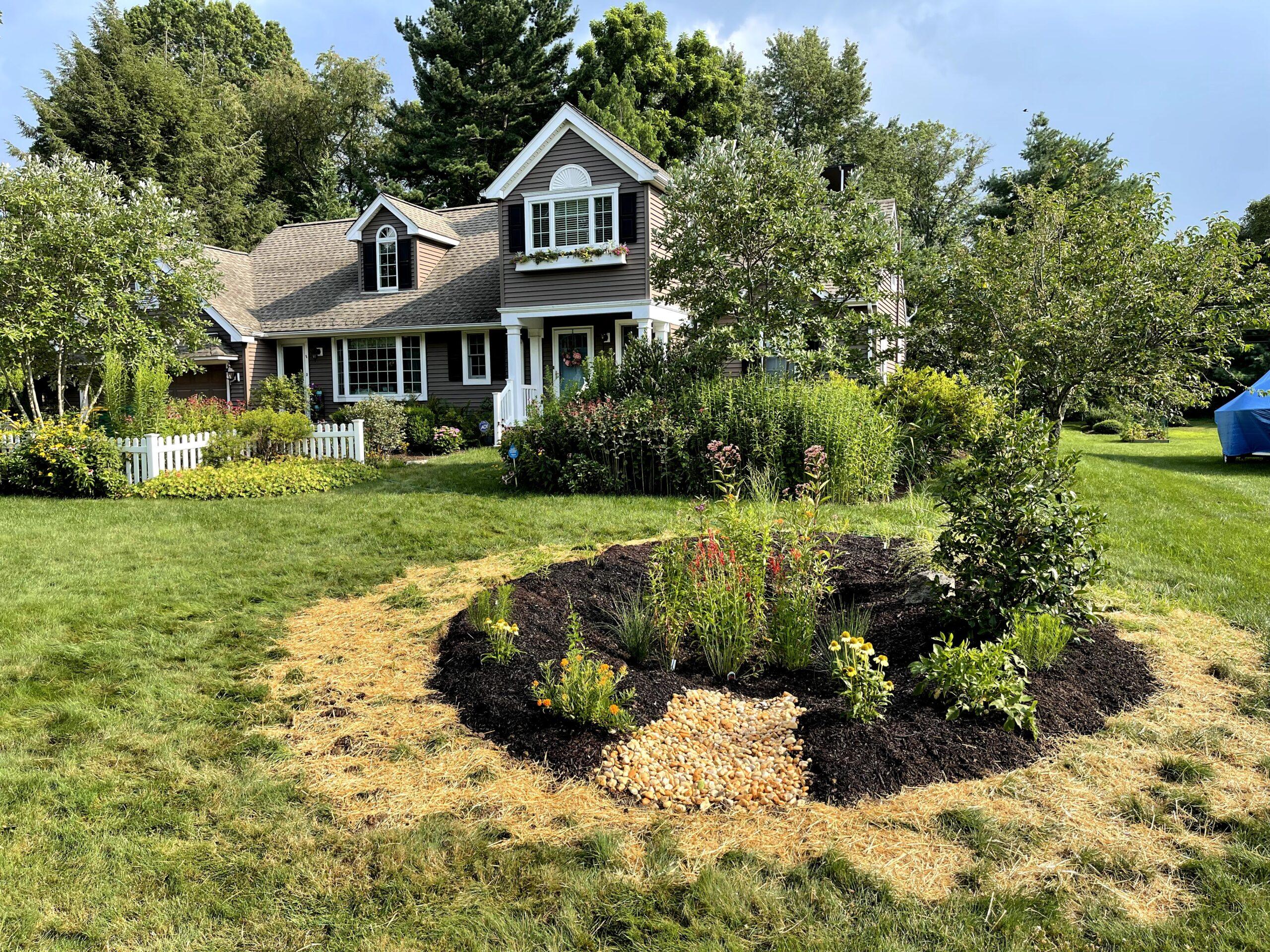 Implement a rain garden⁣ to manage water runoff in ⁤front yard‍ landscaping