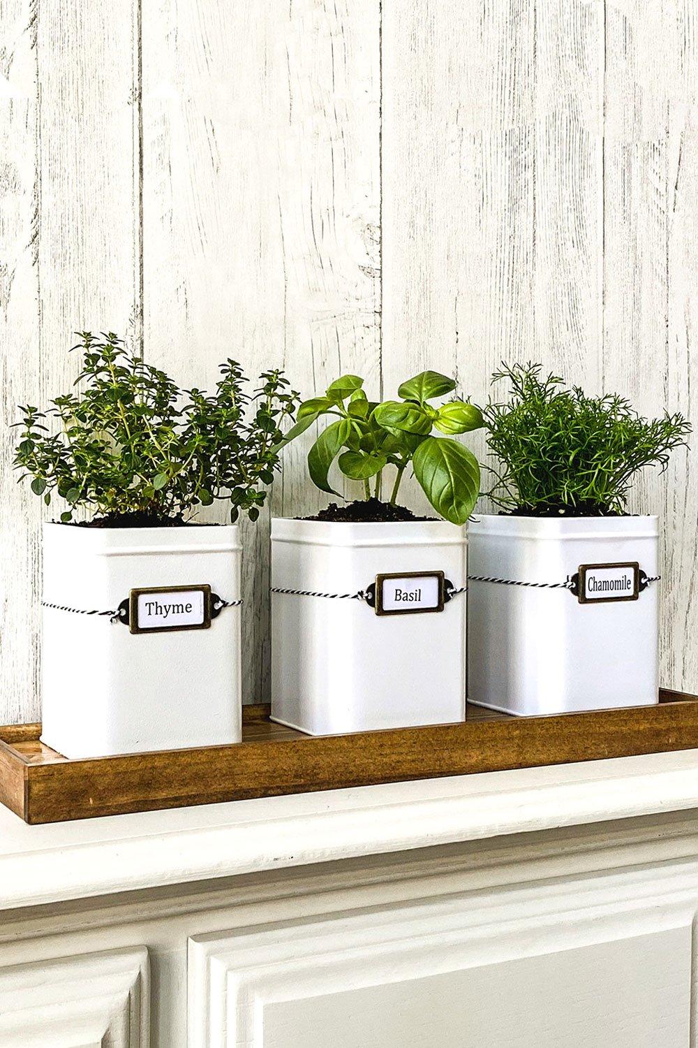 A farmhouse kitchen garden window invites fresh herbs and sunlight indoors