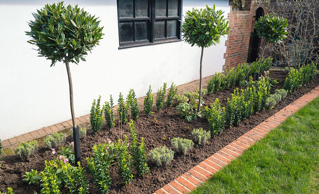 Use edging materials to define garden beds in your front yard⁢ landscaping