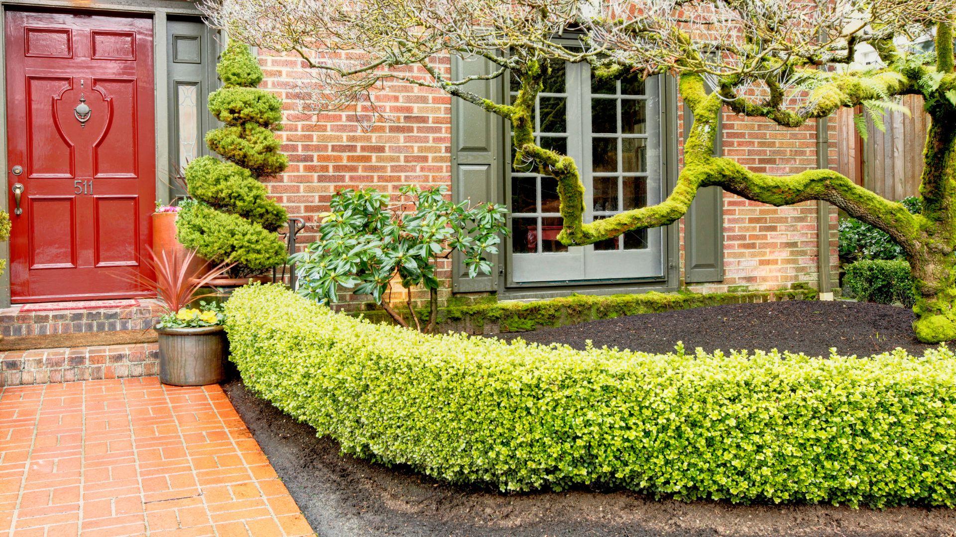 Divide space with low⁣ hedges ‍for a structured front yard ​landscaping layout