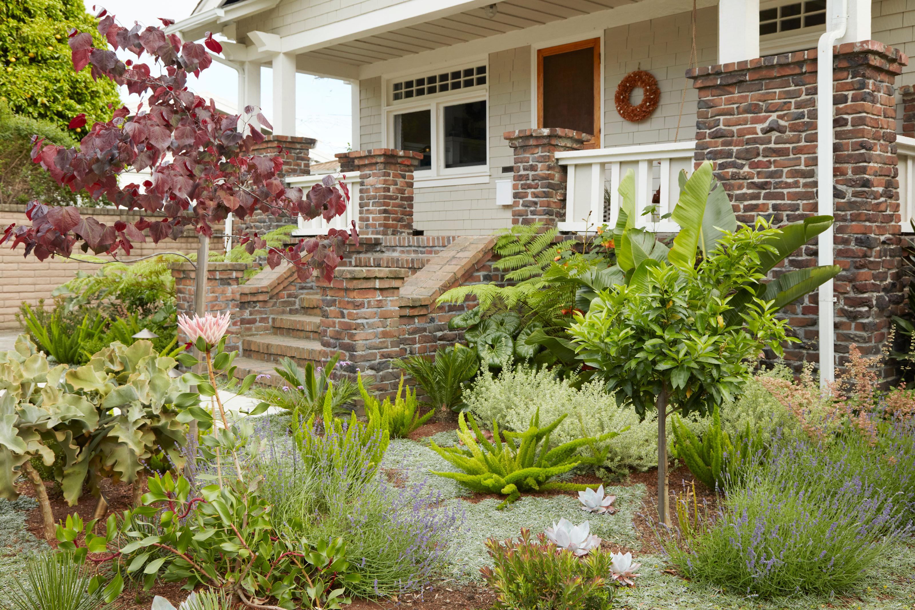 Integrate edible plants for a practical twist in your front yard landscaping