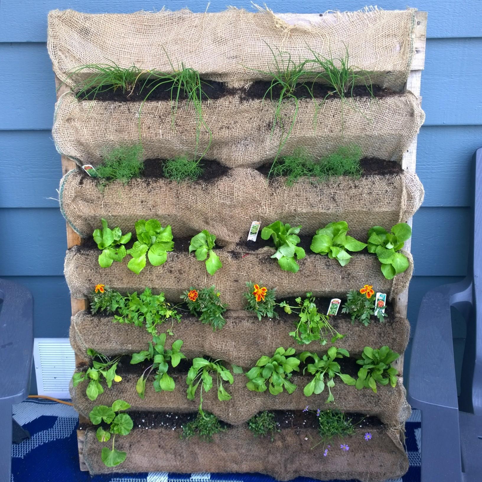 Utilize⁣ recycled materials in your pallet garden for an eco-friendly design