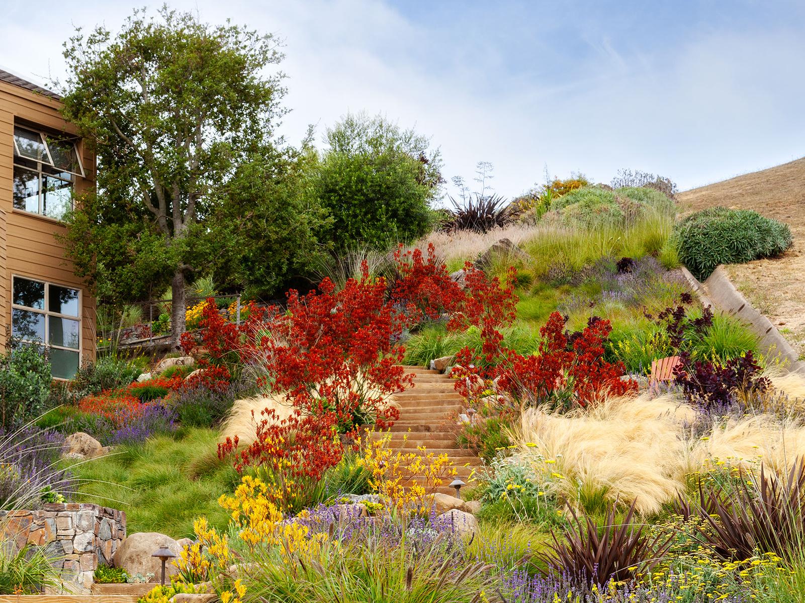 Choose low-water ⁤xeriscaping for easier front‍ yard landscaping maintenance