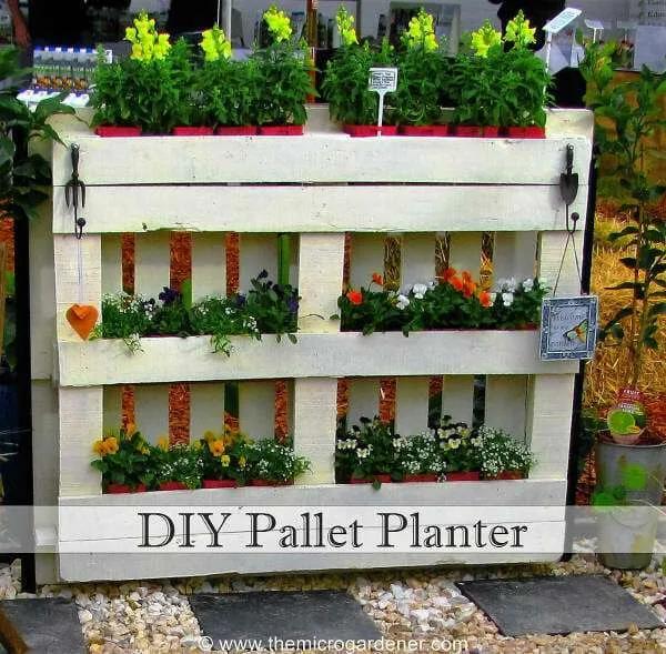 Transform an empty wall into a living Pallet⁤ Garden teeming​ with vibrant flowers