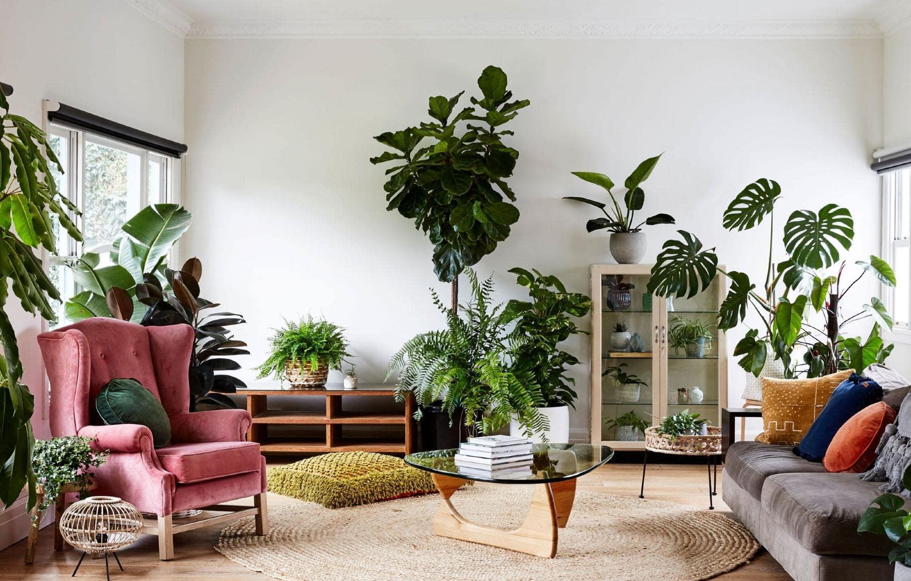 Add plants to breathe life⁤ into your eclectic living room and‍ purify the air